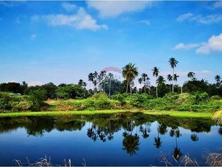 For sale land in Tha Sala, Nakhon Si Thammarat