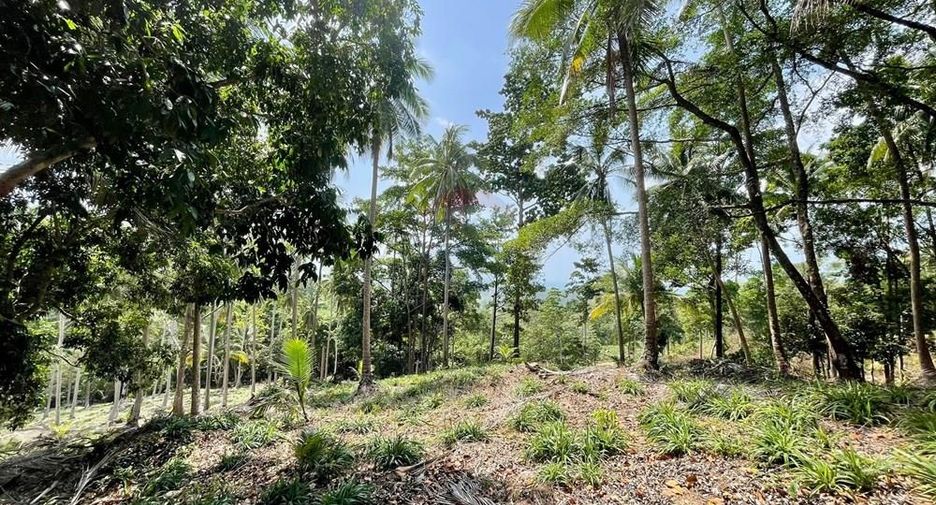 For sale land in Ko Samui, Surat Thani