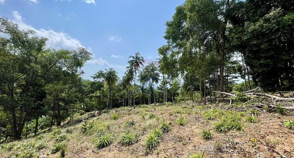 For sale land in Ko Samui, Surat Thani