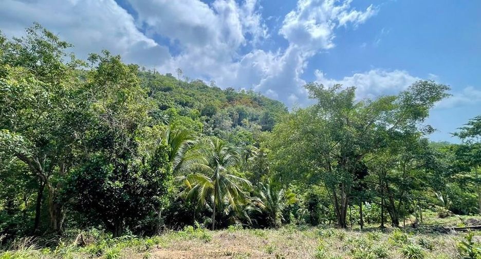 For sale land in Ko Samui, Surat Thani
