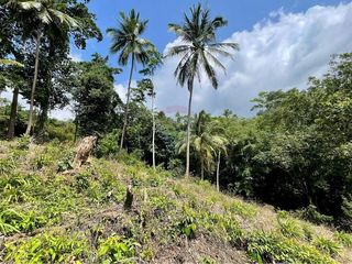 For sale land in Ko Samui, Surat Thani