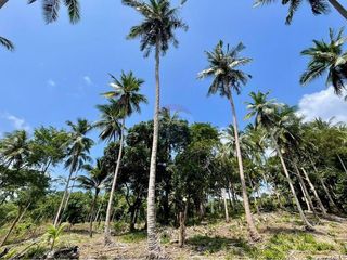 For sale land in Ko Samui, Surat Thani