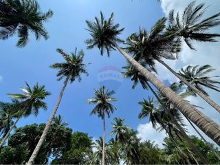 For sale land in Ko Samui, Surat Thani