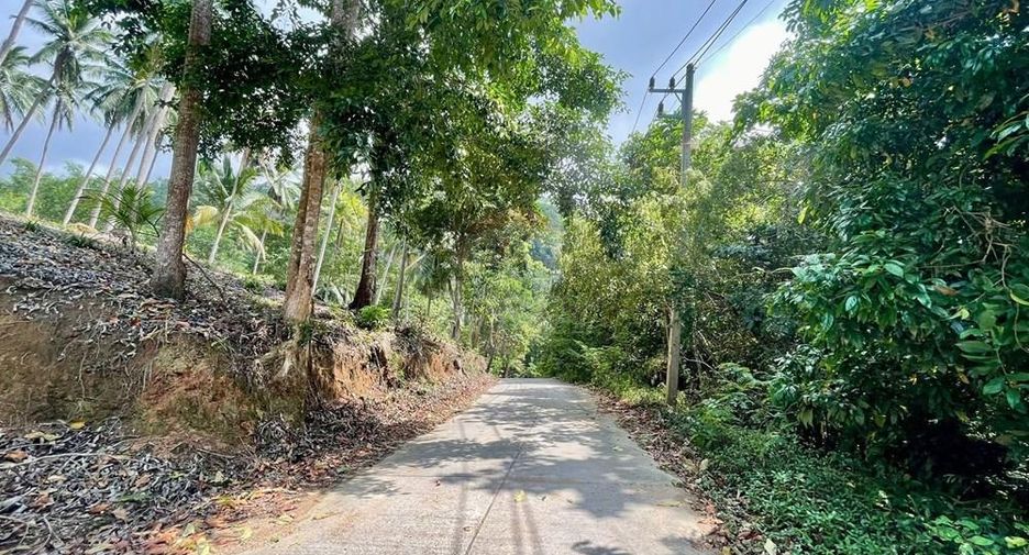 For sale land in Ko Samui, Surat Thani
