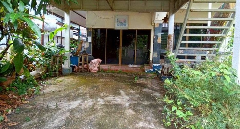 For sale 3 bedrooms house in Samoeng, Chiang Mai