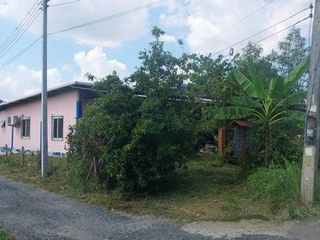 For sale 3 bedrooms house in Samoeng, Chiang Mai
