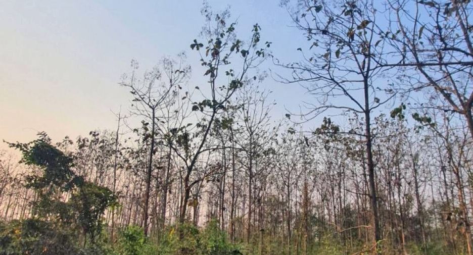 出售 土地 在 Ko Kha, Lampang