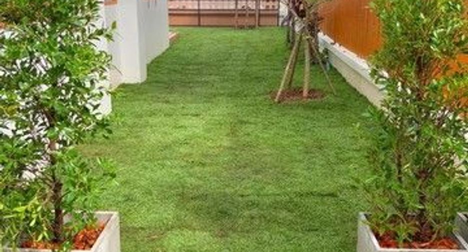 For sale 3 bedrooms house in Samoeng, Chiang Mai