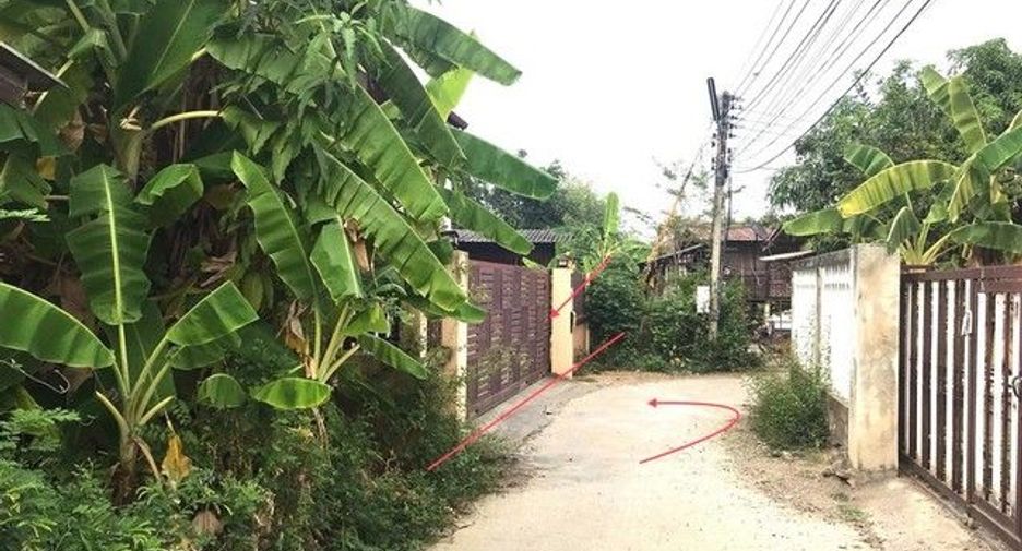 For sale 7 bedrooms house in Samoeng, Chiang Mai