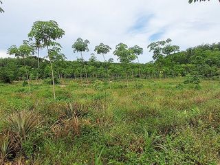 For sale land in Klaeng, Rayong