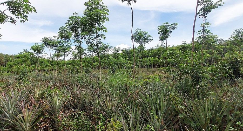 For sale land in Klaeng, Rayong