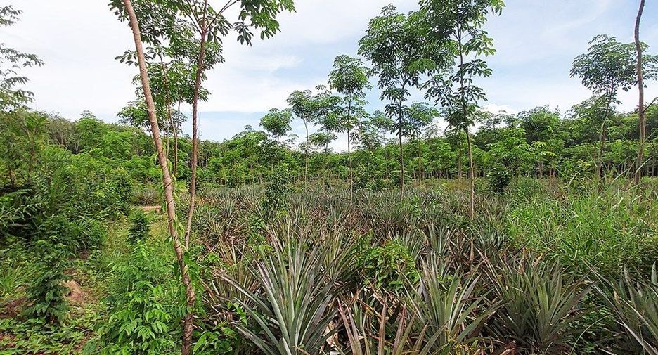 For sale land in Klaeng, Rayong