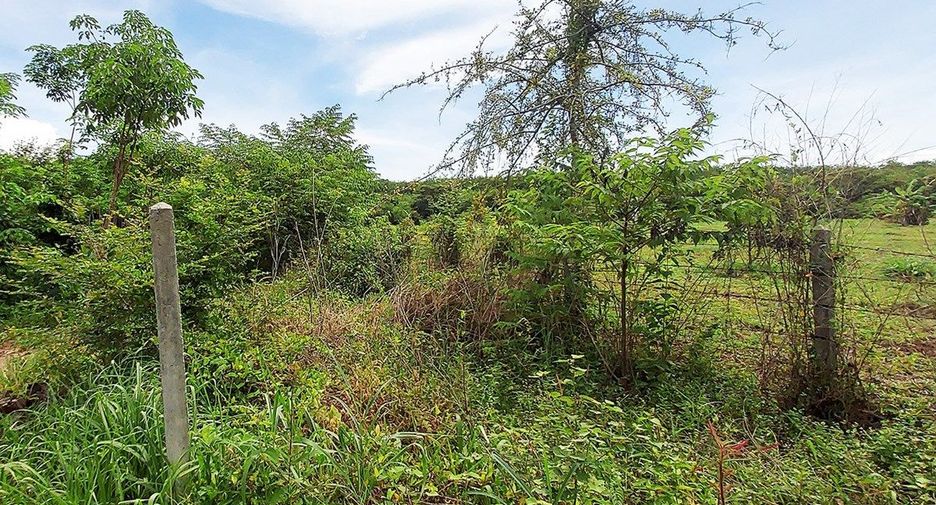 For sale land in Klaeng, Rayong