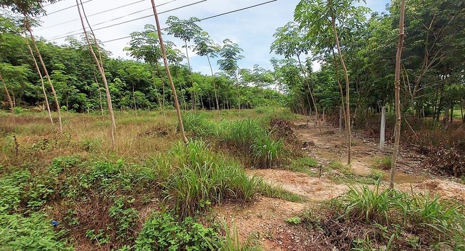 For sale land in Klaeng, Rayong