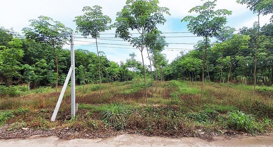 For sale land in Klaeng, Rayong