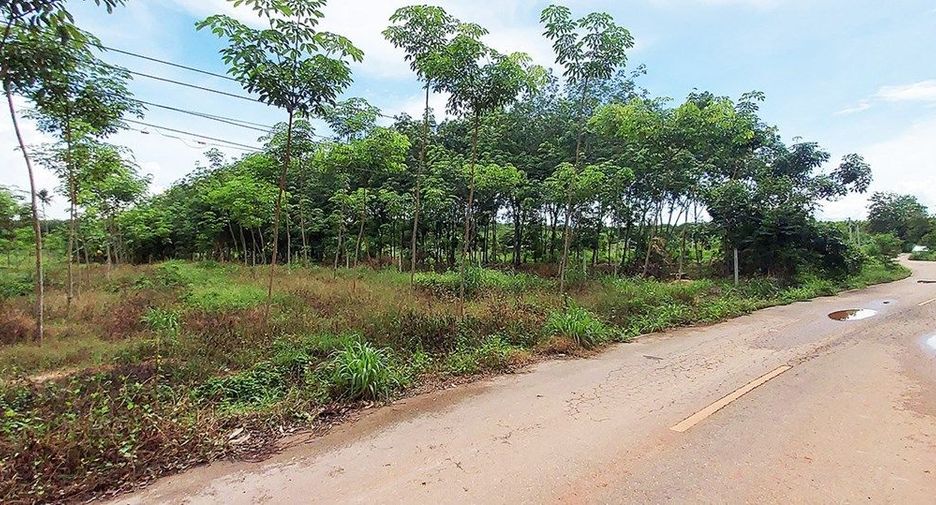 For sale land in Klaeng, Rayong