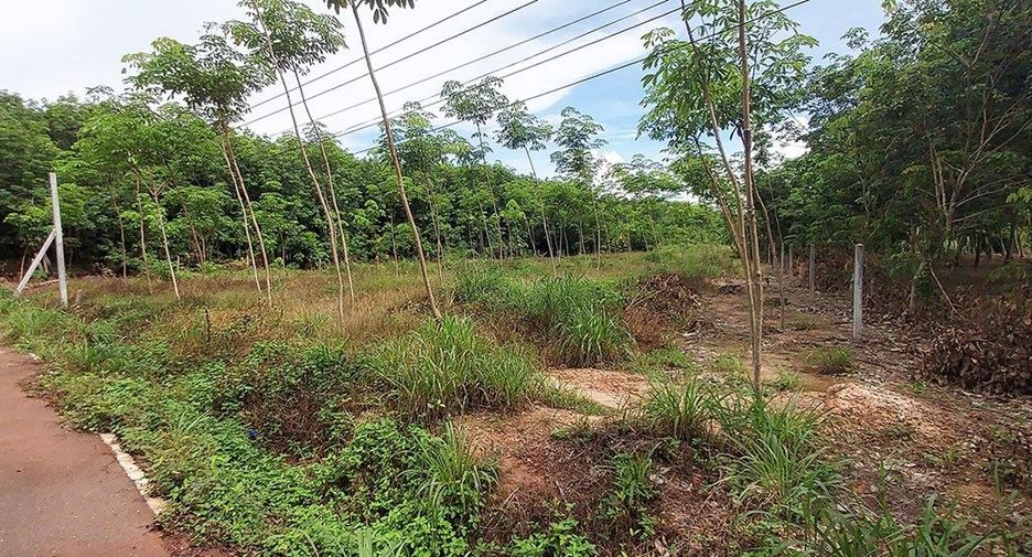 For sale land in Klaeng, Rayong