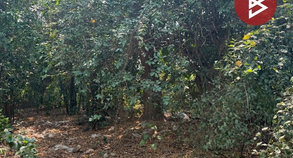 Grundstück zum Kauf in Hang Dong, Chiang Mai