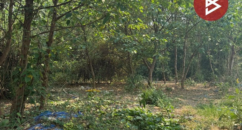Grundstück zum Kauf in Hang Dong, Chiang Mai