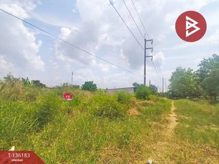 出售 土地 在 Ko Chan, Chon Buri