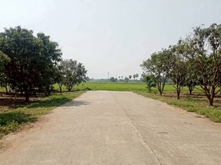 ขาย ที่ดิน ใน เมืองพิษณุโลก, พิษณุโลก