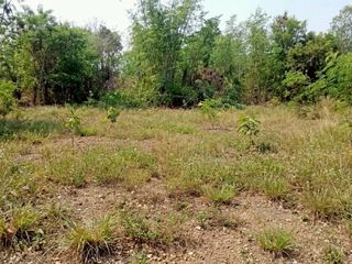 ขาย ที่ดิน ใน เมืองพิษณุโลก, พิษณุโลก