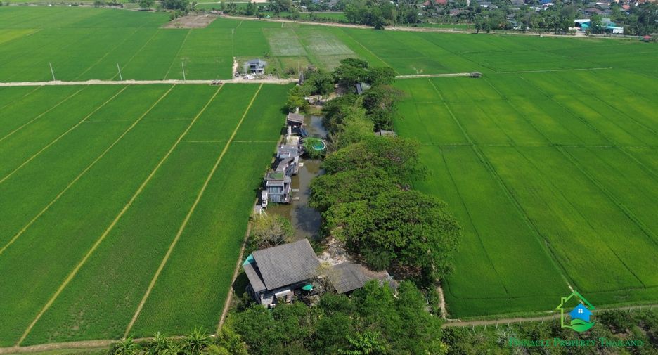 Local comercial en venta de 13 habitaciones en Mae Taeng, Chiang Mai