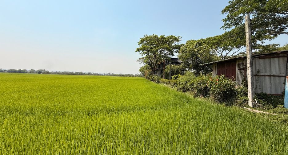 Local comercial en venta de 13 habitaciones en Mae Taeng, Chiang Mai
