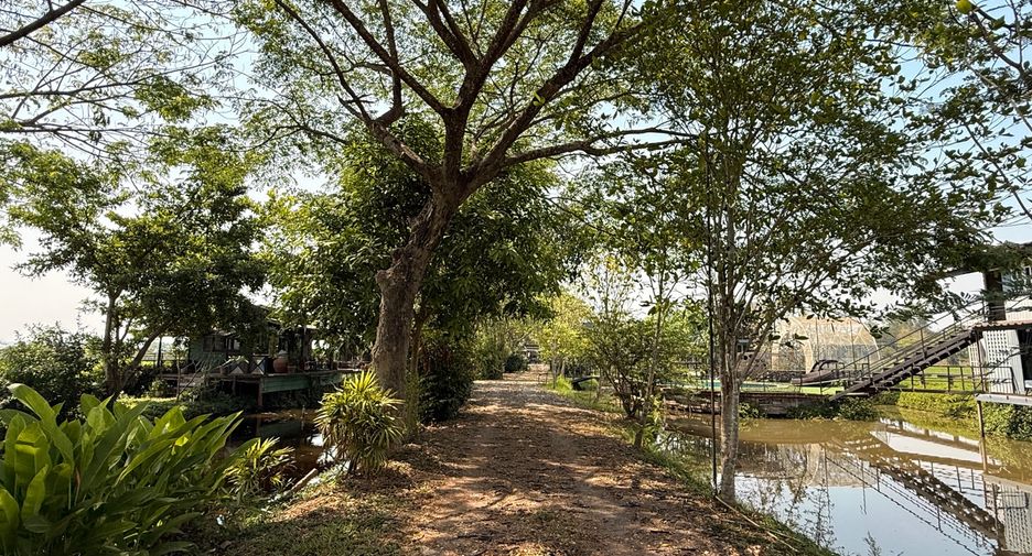 Local comercial en venta de 13 habitaciones en Mae Taeng, Chiang Mai