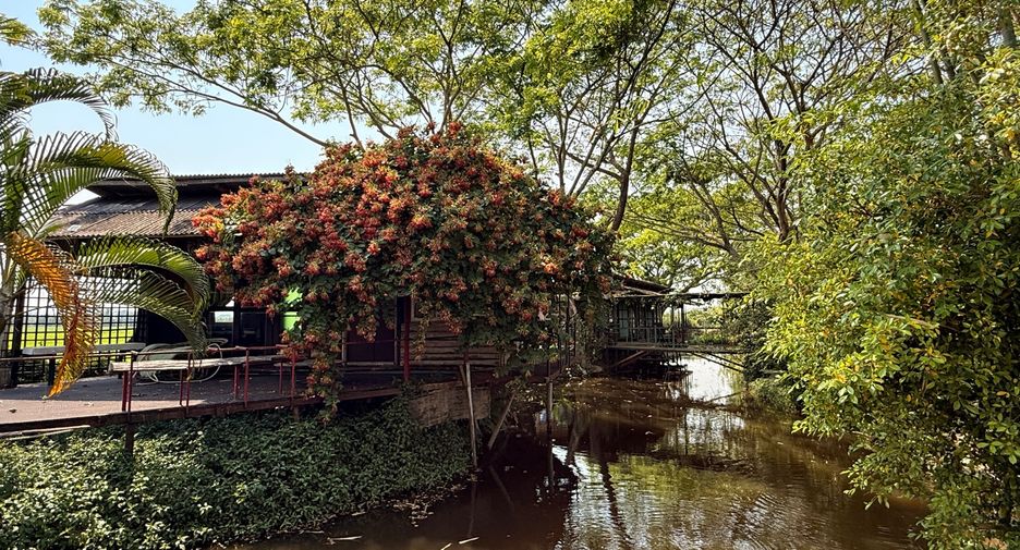 Local comercial en venta de 13 habitaciones en Mae Taeng, Chiang Mai