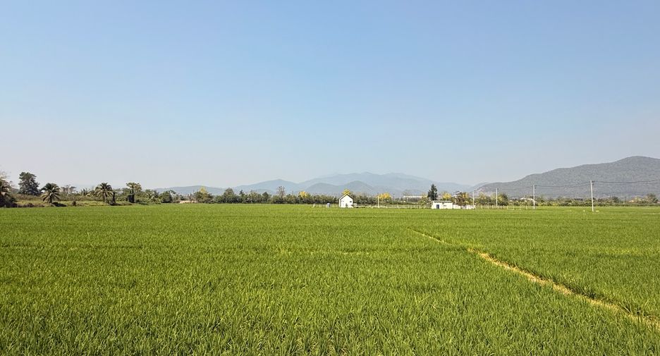 Local comercial en venta de 13 habitaciones en Mae Taeng, Chiang Mai