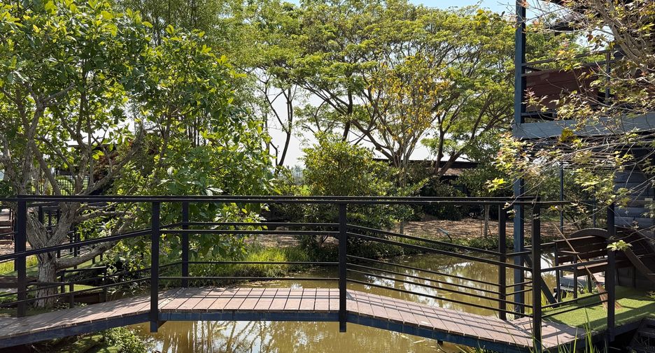 Local comercial en venta de 13 habitaciones en Mae Taeng, Chiang Mai
