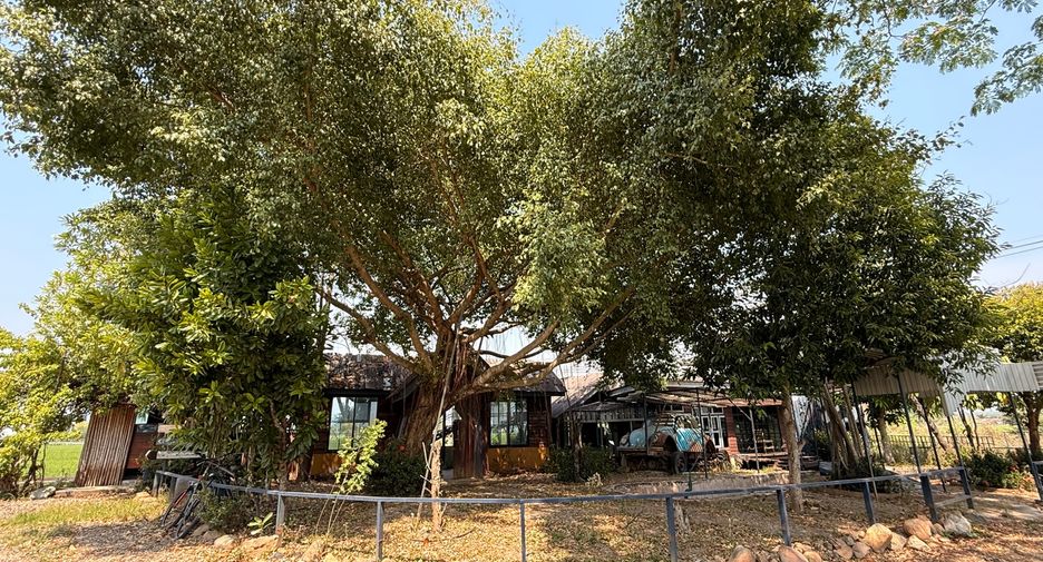 Local comercial en venta de 13 habitaciones en Mae Taeng, Chiang Mai
