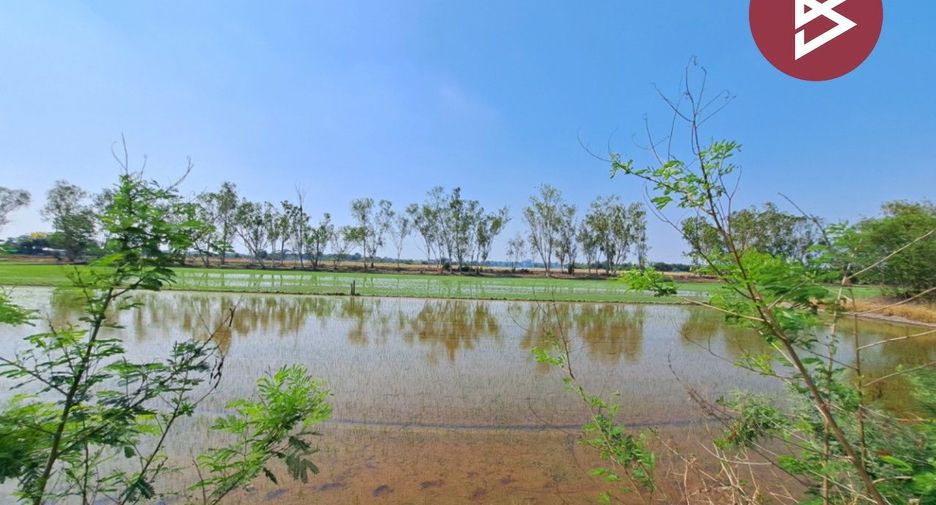 For sale land in Phutthamonthon, Nakhon Pathom