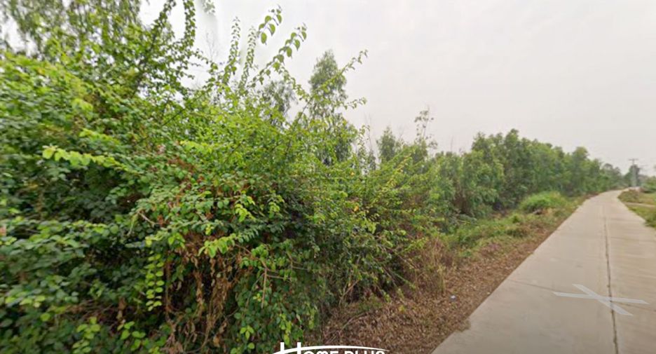 出售 土地 在 Bang Krathum, Phitsanulok