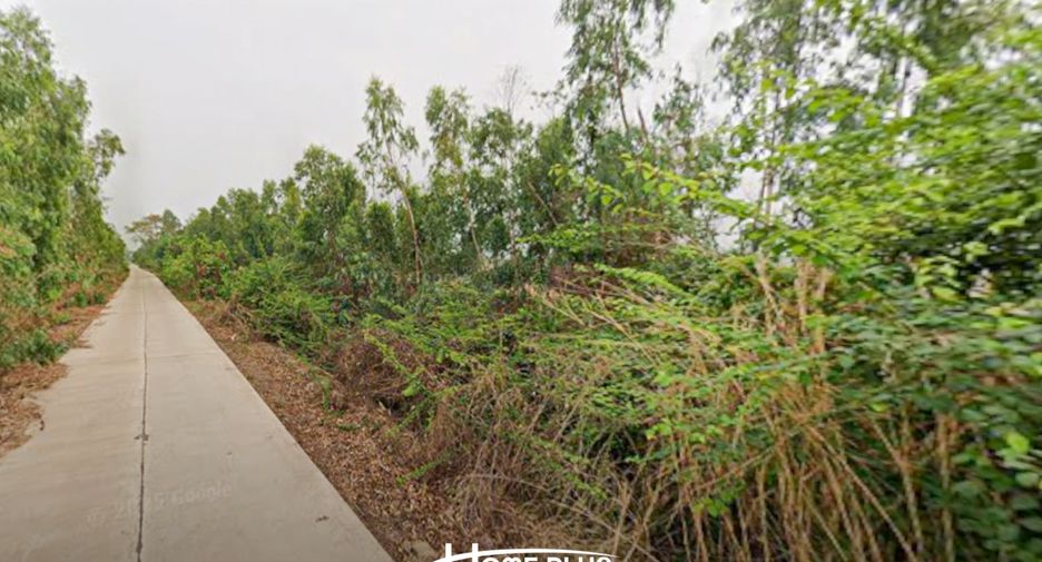 出售 土地 在 Bang Krathum, Phitsanulok