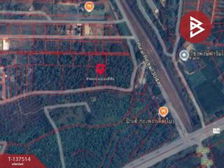 For sale land in Doi Saket, Chiang Mai