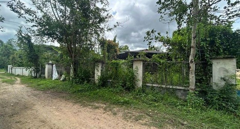 ขาย ที่ดิน ใน แจ้ห่ม, ลำปาง