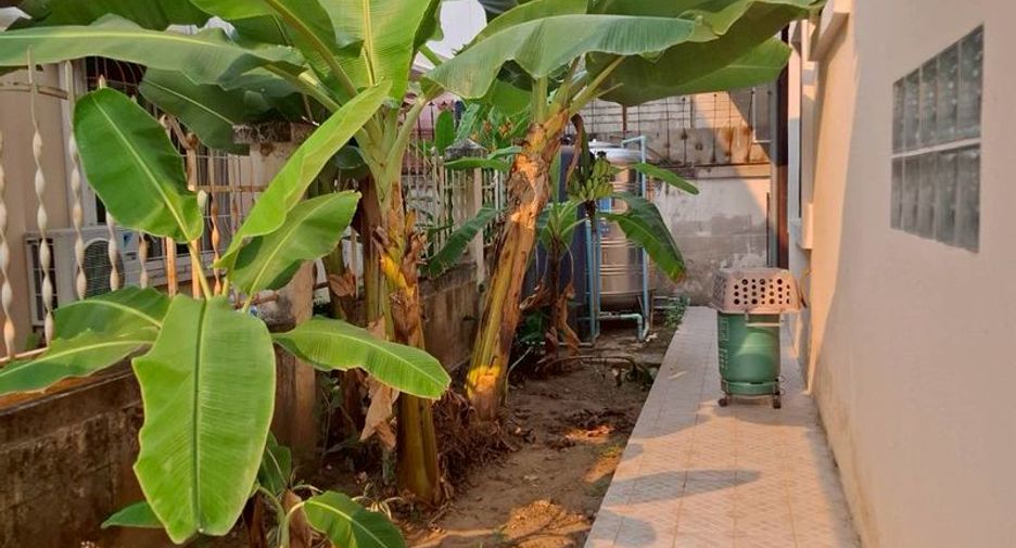 For rent 3 bedrooms house in Mueang Chiang Mai, Chiang Mai