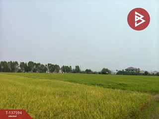 ขาย ที่ดิน ใน เมืองพิษณุโลก, พิษณุโลก