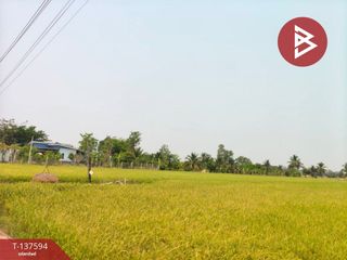 ขาย ที่ดิน ใน เมืองพิษณุโลก, พิษณุโลก