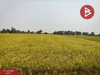 ขาย ที่ดิน ใน เมืองพิษณุโลก, พิษณุโลก