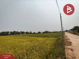 ขาย ที่ดิน ใน เมืองพิษณุโลก, พิษณุโลก