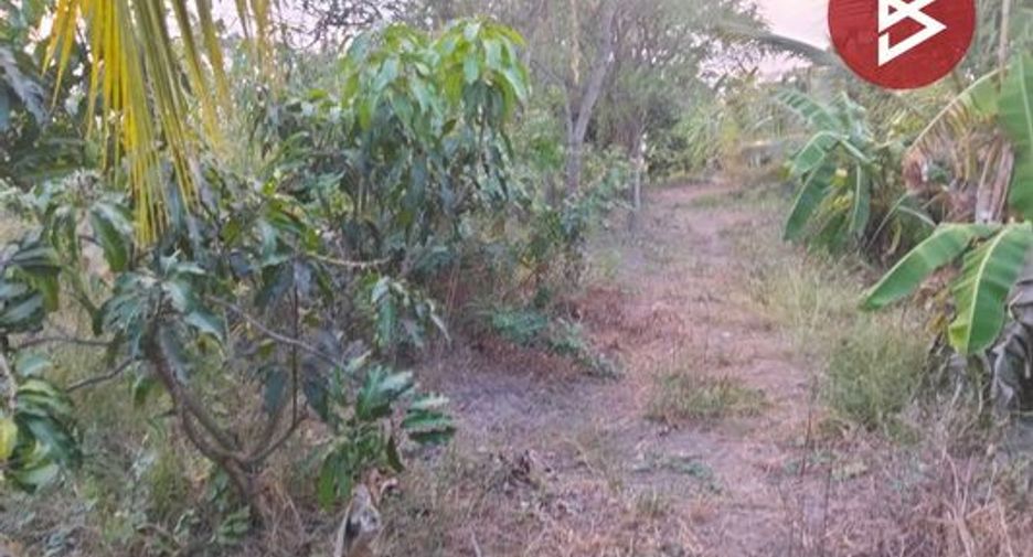À vendre terrain à Samko, Ang Thong