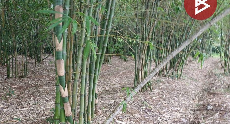 Grundstück zum Kauf in Mueang Khon Kaen, Khon Kaen