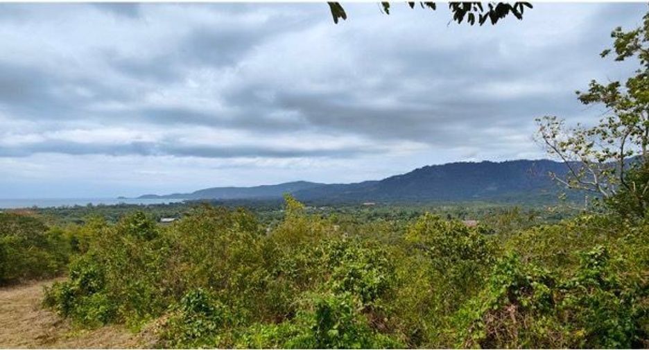 For sale land in Mueang Phuket, Phuket