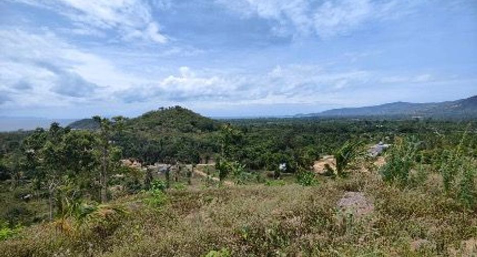 For sale land in Mueang Phuket, Phuket