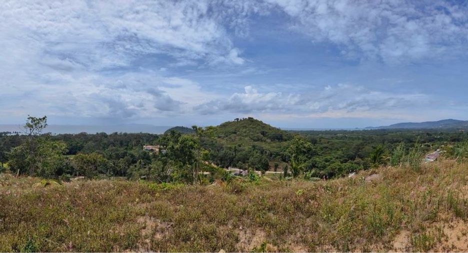 For sale land in Mueang Phuket, Phuket