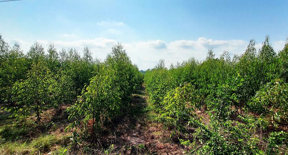 Продажа Участок в Клаенг, Районг