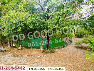 ขาย ที่ดิน ใน บ้านนา, นครนายก